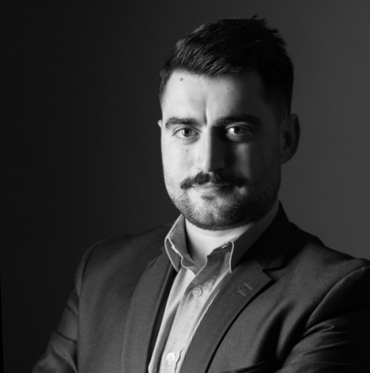 ludovic-berthier-image